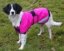 Hi-Vis Waterproof Dog Coat